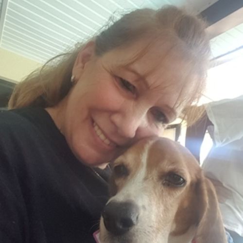 House Sitter Provider Mary Paul's Profile Picture