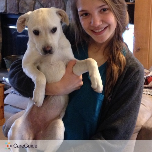 Pet Care Provider Kayla V's Profile Picture