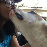 Responsible & caring animal lover willing to take lead in helping out :)