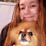 Interviewing For Franklin Animal Lover Opportunity