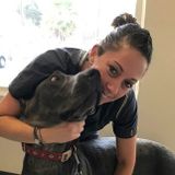 Life is about caring for all animals