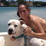 Interested In New Smyrna Beach And Close By Surrounding Areas Animal Lover Opportunity