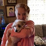 Available: Skillful Pet Care Provider in Alpena, Michigan
