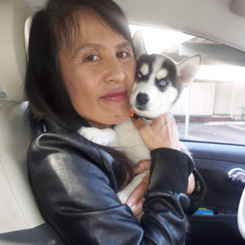 House Sitter Provider Cecilia Kover's Profile Picture
