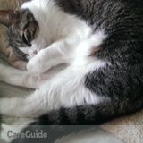 At home pet care! I can clean your place too!