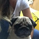 Searching for an Animal Lover Job in Saint John, New Brunswick
