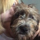 My name is Hayley and would love to meet you and your fur babies! Pet sitting, walking and lots of pictures guaranteed!