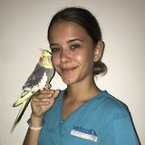 My name is Deearna and i am a 25 year old Australian currently living in Banff and am looking for part time work.