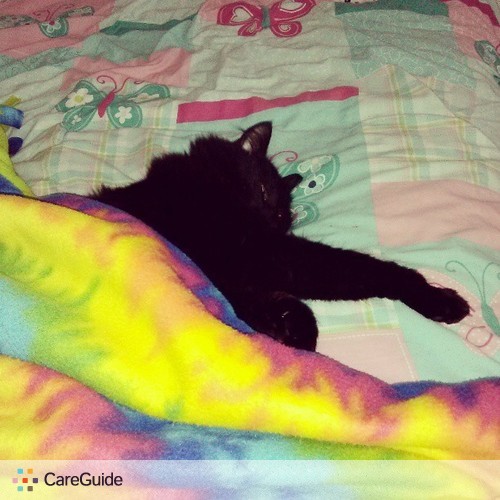 Pet Care Provider Allie P's Profile Picture