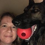 Looking For Delhi Home/Pet Sitter Opportunity