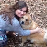 I am a Animal Sitter who has a passion for helping them.