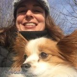 Professional Pet Sitter- Over 15 Years In Business!