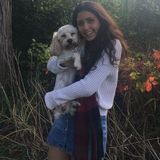 Caring animal lover looking for job opportunities in the local area