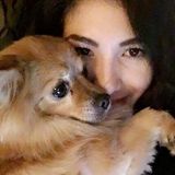 Interested In Pet sitter Jobs in Montreal, Quebec