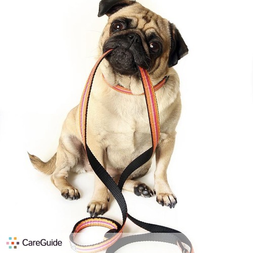 Pet Care Provider Timothy Thomas's Profile Picture