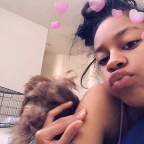 Pet Care Provider Aja A's Profile Picture