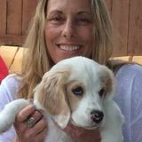 Interviewing For Ormond Beach/Ormond-by-the-Sea Florida Dog boarding, Pet Sitting, Dog Walker or Drop-in Jobs