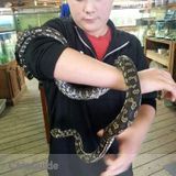 I am an amazing care taker for animals. I have alot of animals I take care of myself.