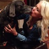Looking For San Antonio Pet walking and boarding and sitting Jobs
