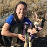 Aurora Dog or cat Sitter Looking For Work in Illinois
