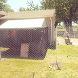 Fences fences