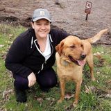 San Ramon Pet Sitter Available For Job Opportunities
