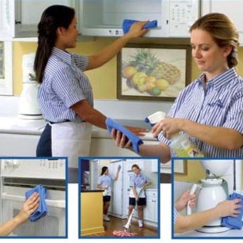 Housekeeper Provider Alessia Scott's Profile Picture