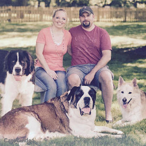 Pet Care Provider Furball Fitness Dog Walking and Pet Care, LLC's Profile Picture
