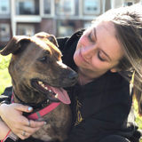 Im a mom of two pups and a lover of all furry friends.