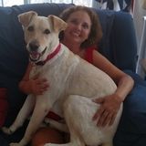 Flexible House Sitting Provider for Your Home. Very organized & trustworthy. Over 20 years experience.