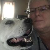 Loving Dog Sitter in Emmaus