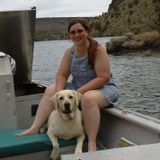 Dog daycare & boarding... trips to Mary S Young Park