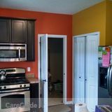 Reliable and Professional Painter