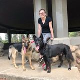 For Hire: Great Pet Caregiver in Jackson, Michigan