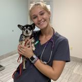 Excellent Animal care provider