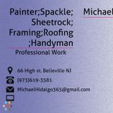 Professional Painter