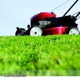 Affordable Landscaping and Lawn Care