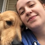 Most Honest Animal Lover in Halifax