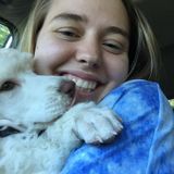 Pet sitting professional in Boone
