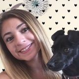 Hardworking Dog Trainer Available Immediately