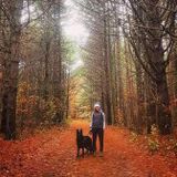 Responsible dog walker. I love being outside and spending one on one time with dogs of all shapes, sizes and age.