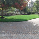 Low price landscaping and yard work! FREE ESTIMATE! Love to help you with all the work you have in your yard!