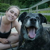 Available: Caring Dog Walker and Cat Sitter in Kitchener