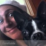 Pet sitter/Dog Walker Available