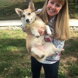 Caring and Reliable House Sitter