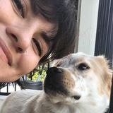 San Marcos Dog Sitter Interested In Work in Texas