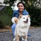 Wonderful Pet Sitter for Hire