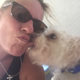 For Hire: Hard Working Animal Caregiver in Vero Beach