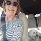 Caring Caregiver For Cats and Small Dogs Available Immediately