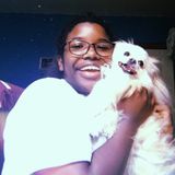 Young And Experienced Petsitter